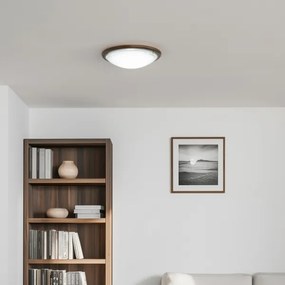 Rabalux 5427 - Mennyezeti lámpa UFO 2xE27/60W/230V