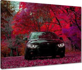 Vászonkép 80x60 Fekete Bmw Ősz