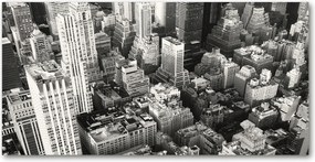 Fotó üvegkép New York madár repülés 140x70