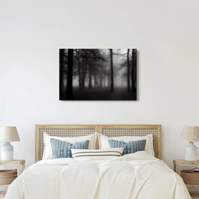 Kép - erdő a ködben (90x60 cm)