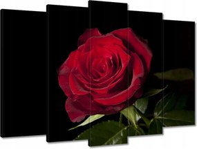 Vászonkép 70x50 Gyönyörű rózsa