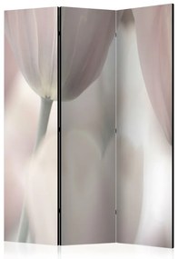 Paraván - Tulips fine art - black and white [Room Dividers]