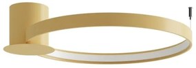 Thoro TH.222 - LED mennyezeti lámpatest RIO LED/21W/230V CRI98 3000K átm. 55 cm arany