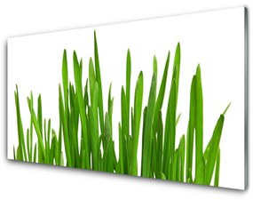 Üvegkép Grass A Wall 125x50 cm 2 fogas