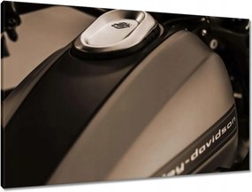 Vászonkép 90x60 Harley Davidson Motorkerékpár