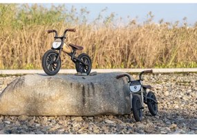 QPlay - Tolós bicikli FEDURO fekete/arany