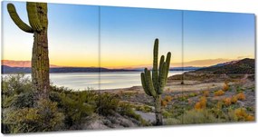 Festmények 180x90 Kaktuszok a sivatagban