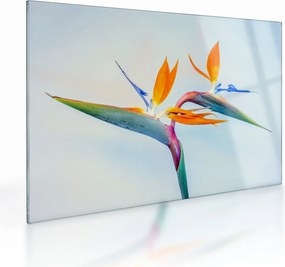 Virág képe (üvegen) (70x50 cm)