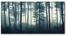 Akril üveg kép Forest a ködben oah-106280644
