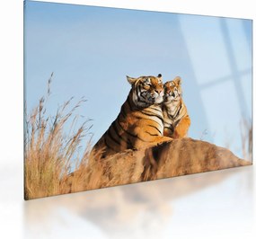 Kép - Tigris és a kölyke (üvegen) (70x50 cm)