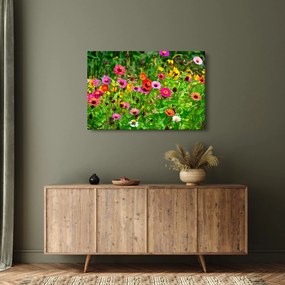 Réti virágok képe (90x60 cm)