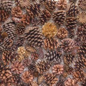 Poszter 70x70cm FenyĆtoboz, Assaf Frank