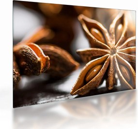 Üveg kép - Anise (70x50 cm)