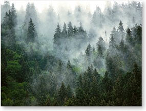 Erdő Köd poszter A1 59,4x84,1 cm #105