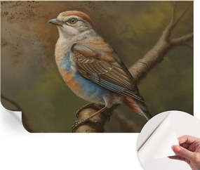 Öntapadós Dekoratív Fotótapéta Hálószobába Madár portré 152x104 cm