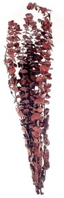 Sötétvörös Szárított Virágcsokor 56 cm BADAJOZ Beliani