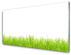 Akril üveg kép Grass Nature Plant 100x50 cm 2 fogas