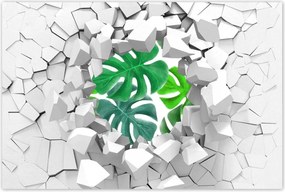 Poszter 60x40 Levelek Monstery Trópusok