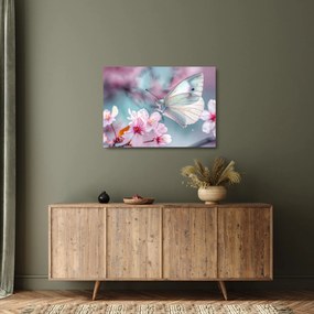 Üveg kép - Pillangó a cseresznyefán (70x50 cm)
