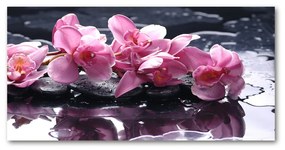 Akrilkép Rózsaszín orchidea oah-28903356