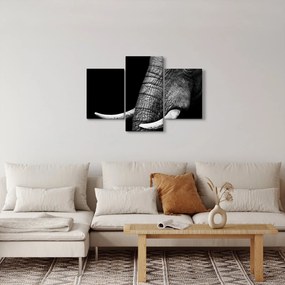 Kép - Elefánt agyar (90x60 cm)