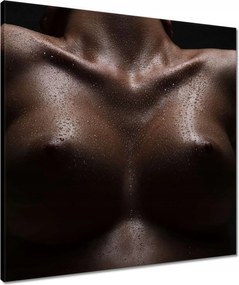 Vászonkép 60x60 Feszes mellek Akt