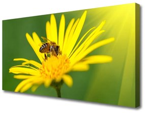 Vászonkép falra Bee Virág Természet 125x50 cm