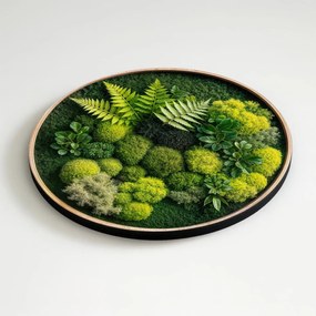 DUBLEZ | 3D falikép moha hatással – Páfrány motívummal