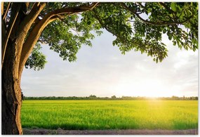 Poszterek 185x125 Misztikus naplemente