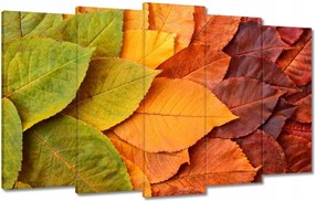 Vászonkép 100x60 Őszi színes levelek Levelek az ősz színeiben
