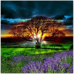 Poszterek 100x100 Az élet fája