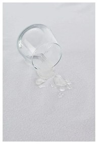 Vízálló párnavédő szett 2 db-os 70x50 cm Terry – Mila Home