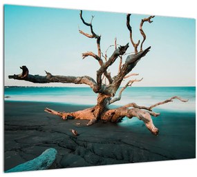 Kép - Úszó a tengerparton (70x50 cm)