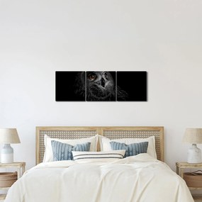 Kép - bagoly, ábra (órával) (90x30 cm)