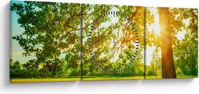 Kép - Sunny Forest (órával) (90x30 cm)