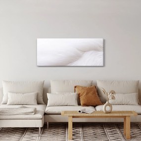 Kép - Fehér toll (120x50 cm)