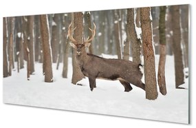 Akrilkép Deer téli erdőben 100x50 cm