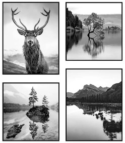 Kép szett 4 db-os 30x40 cm Wild