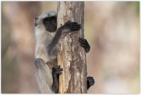 Poszterek 120x80 Pihenés a természetben