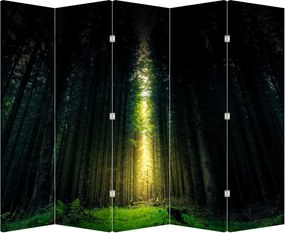 Paraván - Sötét erdő (210x170 cm)