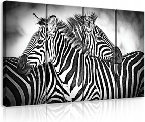 Vászonkép 120x80 Zebra monokróm vad természet Afrika csíkok állatok