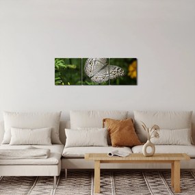 Kép - fehér pillangó (órával) (90x30 cm)
