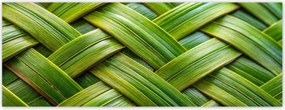 Fotótapéták 250x93 Zöld fonott zöld rattan fonott lemez