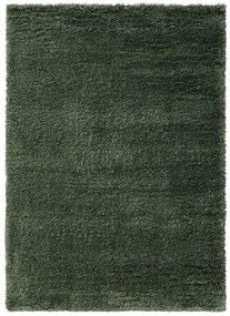 Shaggy rug Ricky Green 200x290 cm