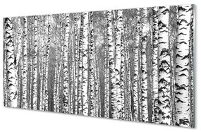 Akrilkép Fekete és fehér fa 100x50 cm