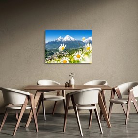 Kép - tavasz az Alpokban (üvegen) (70x50 cm)