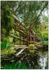 Poszterek 70x100 Tájkép Látvány