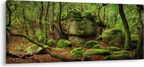 Egy varázslatos erdő képe (120x50 cm)