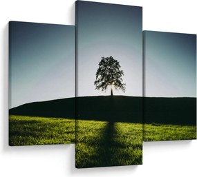 Természet kép - fa (90x60 cm)