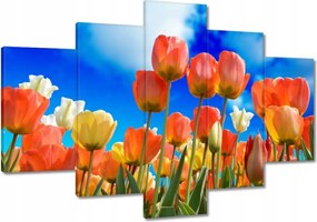 Vászonkép 120x80 Színes tulipánok